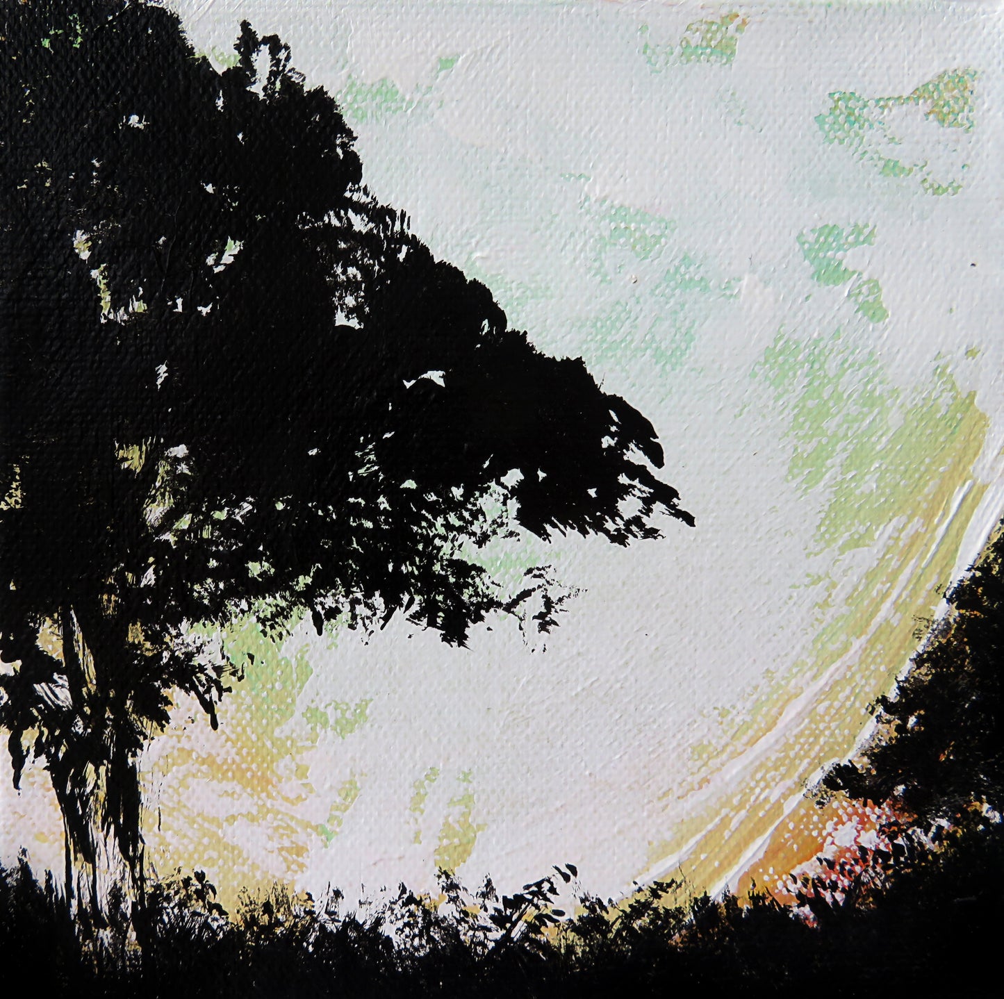 Tree Silhouette 002  - 6" Canvas Mini